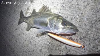 �����Х�