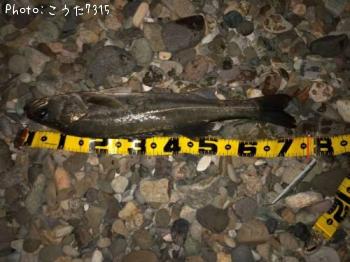 �����Х�