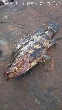 �����Υ���Х�