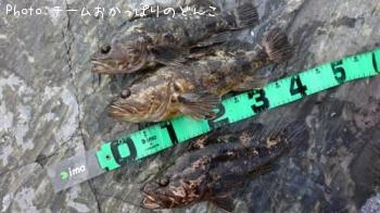 �٥å�������