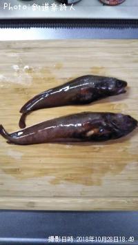 �ɥ󥳡ʥ������������ʥ��