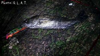 �����Х�