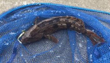 �����ʥ�