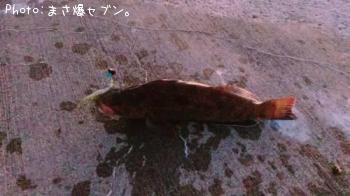 �����ʥ�