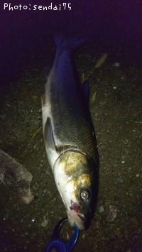 �ޥ륿������