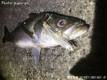 �����Х�