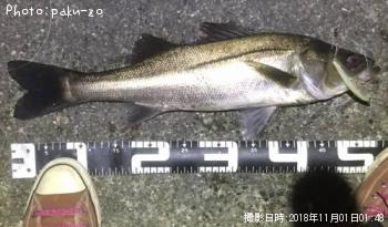 �����Х�