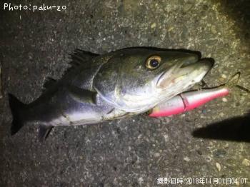 �����Х�