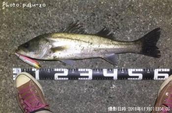 �����Х�