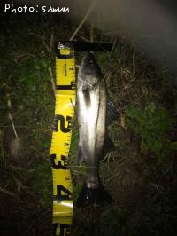 �����Х�