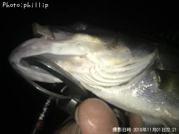 �����Х�