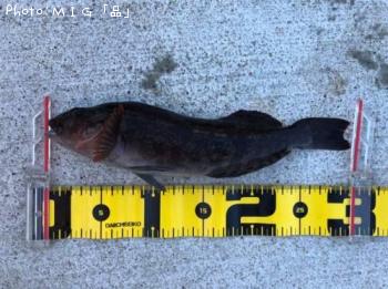 �����ʥ�