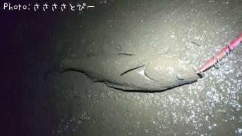 ��������Х�������Х����ե�