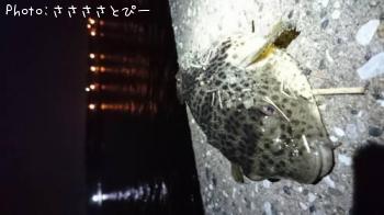 ��������Х�������Х����ե�