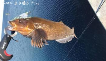 �����ʥ�