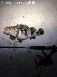 �����Υ���Х�