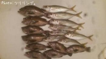 ¥¢¥¸¤È¥á¥Ð¥ë