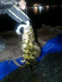 �٥å�������