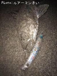 �����Х�