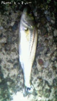 �����Х�