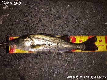 �����Х�