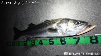 �����Х�