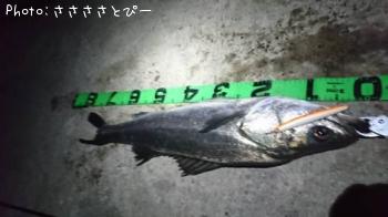 �����Х�