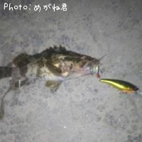 �����Υ���Х�