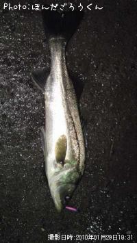 �����Х�