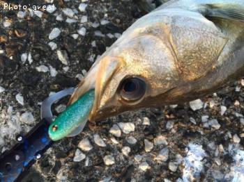 �����Х�