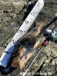 �٥å�������