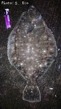 �ޥ����쥤