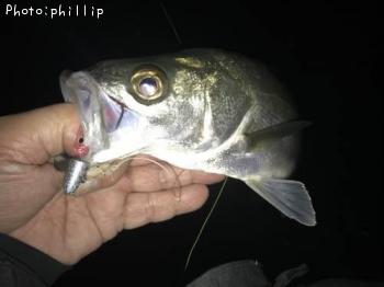 �����Х�