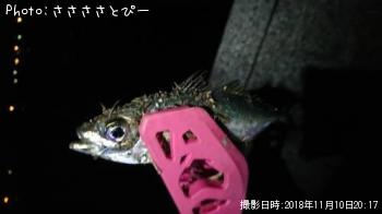 �����Х�������