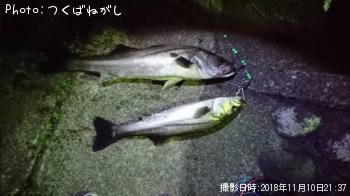 �����Х�