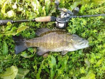 ¥Ö¥é¥Ã¥¯¥Ð¥¹