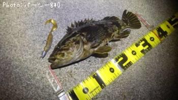 �����Υ���Х�