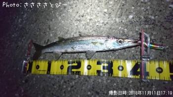 ���ޥ�������