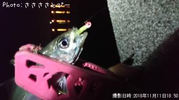 ���ޥ�������