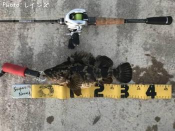 �����Υ���Х�