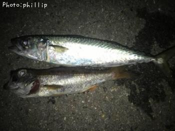 ���С����