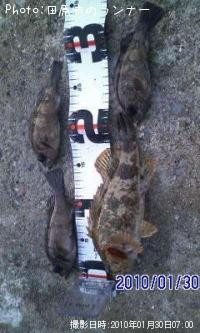 �����Υ���Х�ȥ�Х�