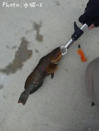 �����ʥ�