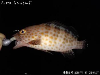 �������ϥ�