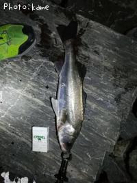 �����Х�