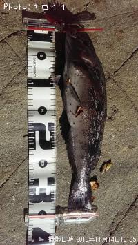 �����ʥ�