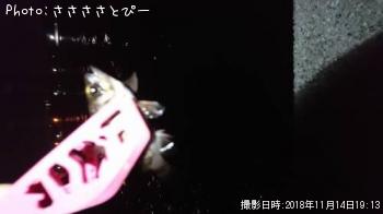 ��������Х�