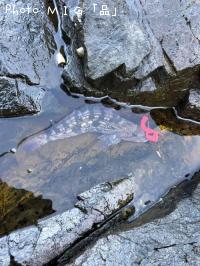 �����ʥ�