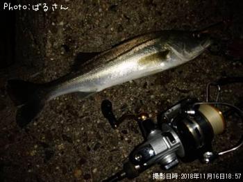 �����Х�