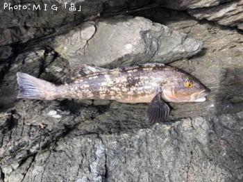 �����ʥ�